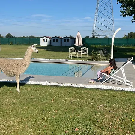 Villa Iris-3